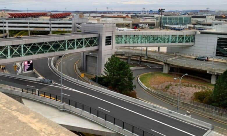 Scorpion stings a woman to the Boston luggage complaint as she picked up luggage after the flight of Mexico