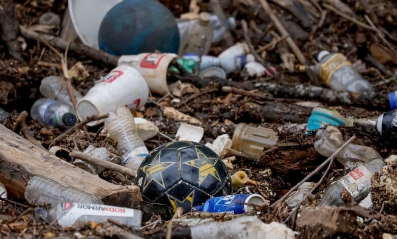 Trump policies could have an impact on the environment long after leaving their duties, say some experts