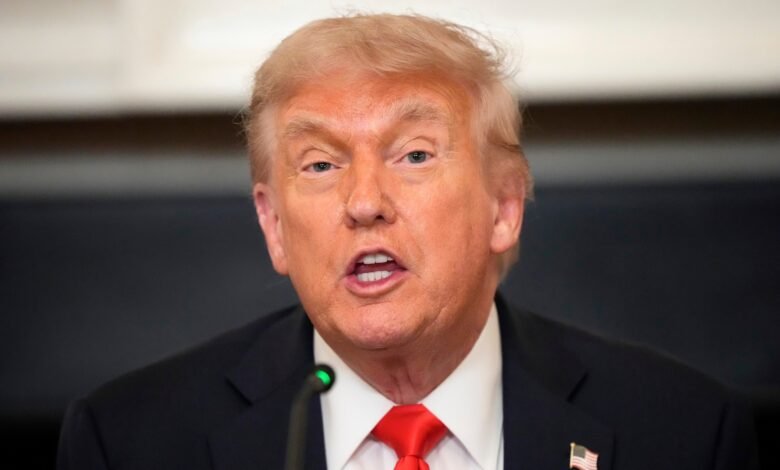 Trump says to ABC Musk `` lost his head '', as the CEO's father says "make sure it stops"